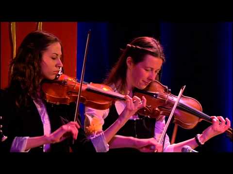 TUULEPUU "Arkaadia teel"