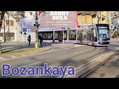 Cab View Linia 1 Bozankaya Tram Timisoara