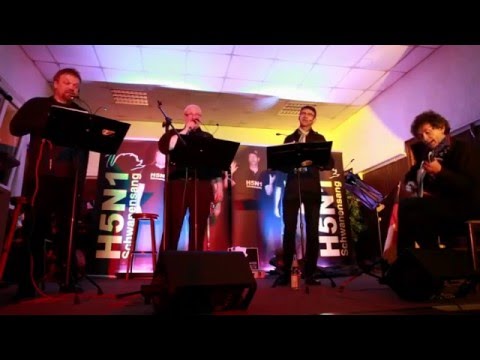 H5N1 Schwanensang Youtube