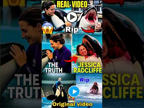 💔Jessica Radcliffe Orca-Angriff 😢 Schreckliche letzte Momente der Orca-Trainerin 🌊 | Was geschah?