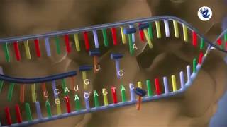 10th Science Study material and 10th Std Science Part-1 / Part- 2