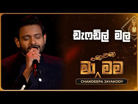 Daffodil Male (ඩැෆඩිල් මල) | Chandeepa Jayakody | Ma Nowana Mama | TV Derana