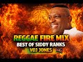 MAANDAMANO Biggest Reggae Hits VDJ Jones Mix Siddy Ranks Never Too Late Baby It S You