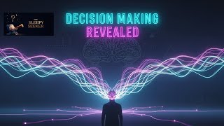 The Sleepy Seeker | The Speed of Decision Making: Why Choices Take So Long