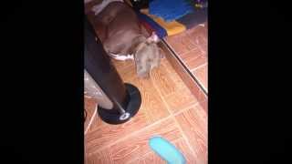 Tercer cielo - Ya me hiciste el día