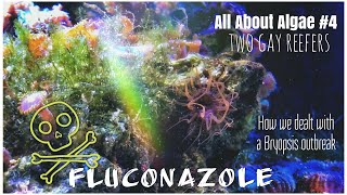 All About Algae - Fluconazole