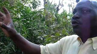 1 minute avec Augustin, au coeur de l'Ecoparc