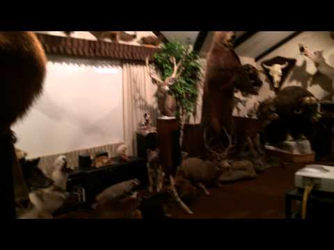 A Hunters Paradise, Vernon Boose's Trophy Room