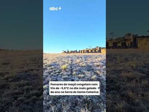Pomares de maçã congelam com frio de -5,6°C no dia mais gelado do ano na Serra de Santa Catarina