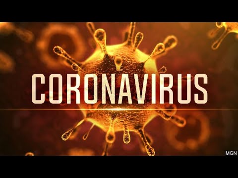 Contagion Full Movie English 2011 HD || Coronavirus Movie || corona movie || corona virus outbreak