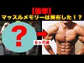 マッスルメモリーは実在した!? 激やせから半年でこのバルクまで戻した実話を語ります