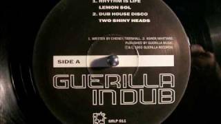Two Shiny Heads Dub House Disco (GiD mix)
