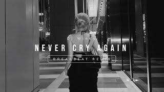 Download lagu NEVER CRY AGAIN BREAKBEAT STADIUM mp3