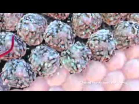 Capecitabine capiibine tablets ip, dr reddy's