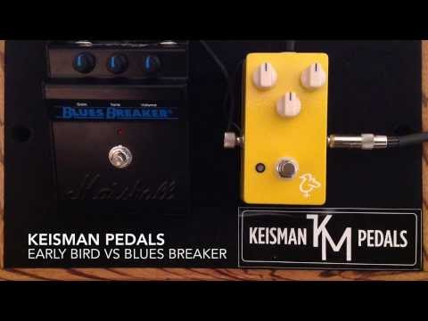 Keisman Early Bird vs Marshall Blues Breaker