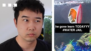 does putting your Pet Fish in time out ACTUALLY work? | Fish Tank Review 332