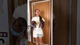 O Alarme que Fez a Dona e Seus Amiguinhos Fugirem #shortvideo