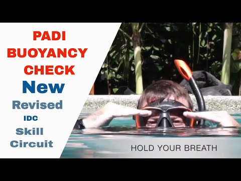 Buoyancy Check at Surface - PADI IDC Skills Circuit • Divemaster Skills Circuit