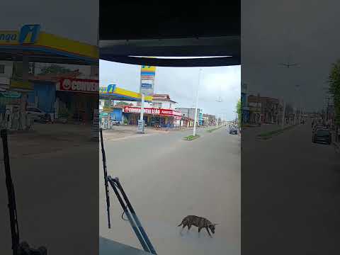 turilandia ma