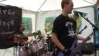 Part Time Punks - Straw Dogs