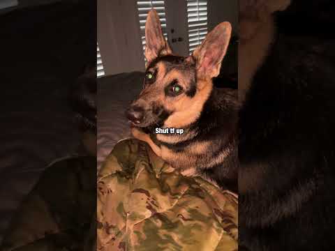 I Feel Bad For This #shorts