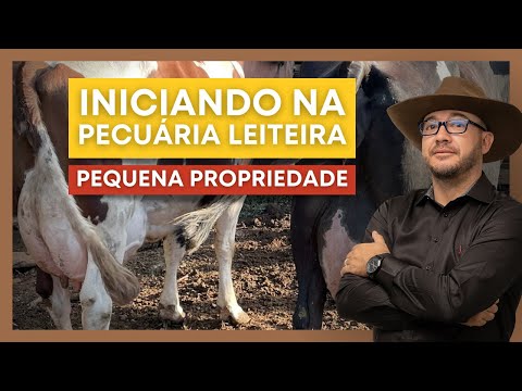 Starting in Dairy Farming on a Small Property