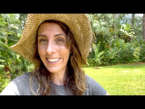 Low Maintenance Lawn Alternatives and Ground Covers you can Walk on