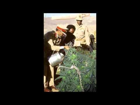 Murray Man - One Blood