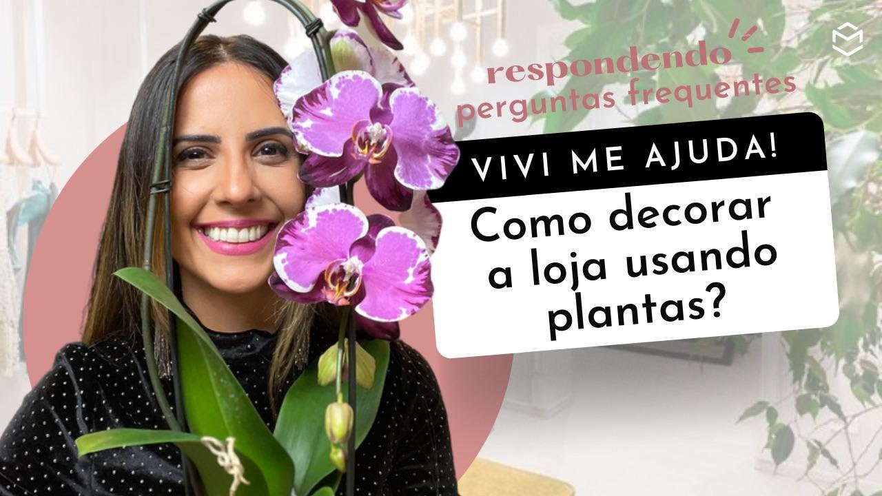 As 10 melhores plantas para o interior da loja.