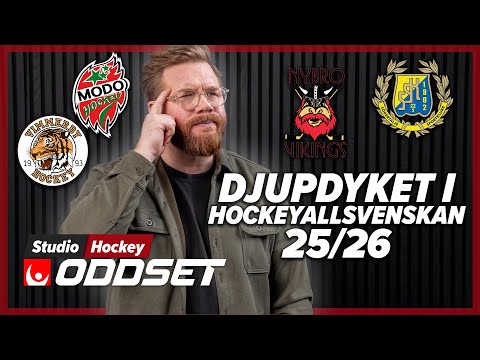 VI KÖR ETT DJUPDYK I HOCKEYALLSVENSKAN │Vad behöver lagen få in i truppen under 2025/2026