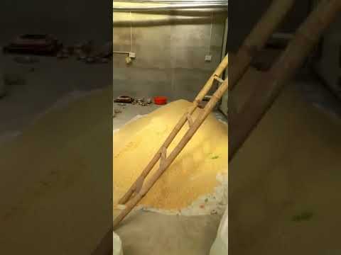 7 Stage Industrial Continuous pasta and macaroni Dryer