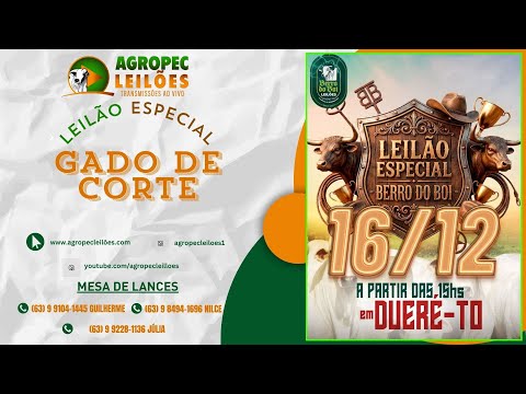 agropecleiloes.com - LEILÃO ESPECIAL GADO DE CORTE | BERRO DO BOI LEILÕES - DUERÉ -TO 16/12/2025