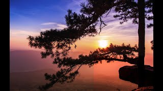 Van Morrison: These Are The Days