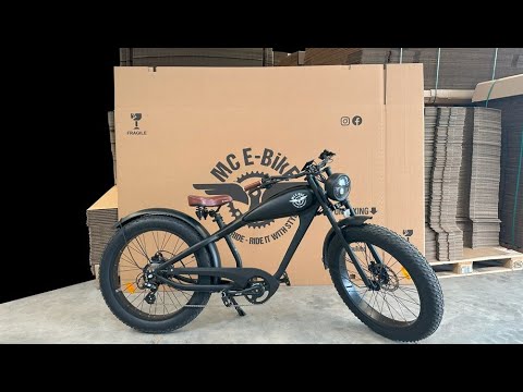Boxing Max E-CoffeeCruiser MC E-Bike