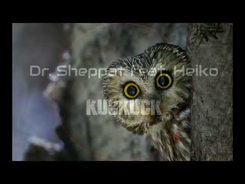 Dr. Sheppat feat. Heiko - Kuckuck