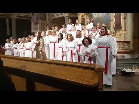 Malmö  limelight chorus lucia 2019