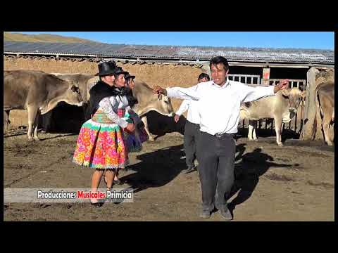 PURITO CANIPACO ORQ. INTERNACIONAL SUPER GALANES DEL PERÚ Y SUS DINÁMICOS DEL CANIPACO (PRIMICIA)