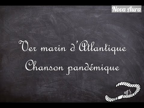 Ver marin – chanson pandémique