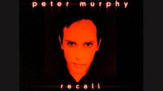 Peter Murphy - Big &amp; Tiny (live)