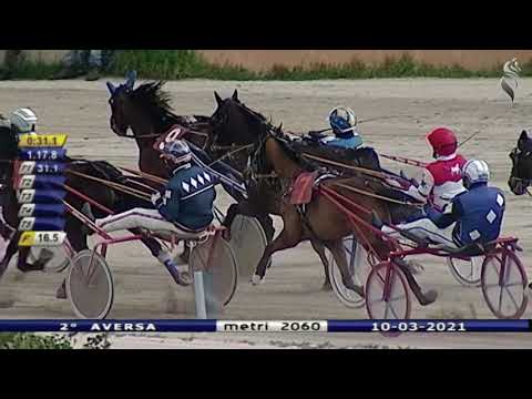 Aversa trotto 10 Marzo 2021 - 2° Corsa