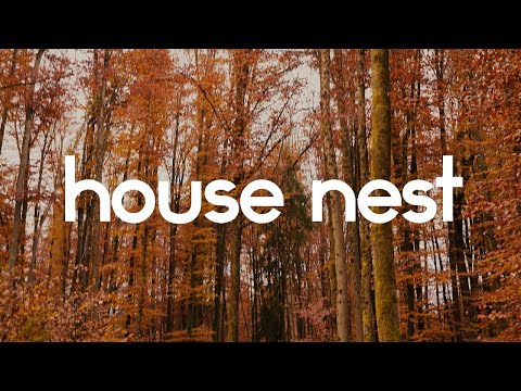 Amir Telem - Music Is Love feat. Aves Volare (Stefano Richetta Remix)