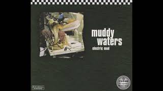 04  Muddy Waters - She&#39;s Alright