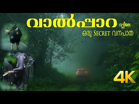 Secret Forest Road in Athirapally to Valparai route!!! 4K