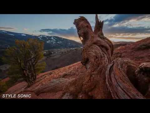 STYLE SONIC - Stratosphera