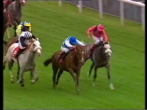 1993 William Hill Trophy Handicap