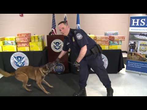 Customs MDMA Seizures