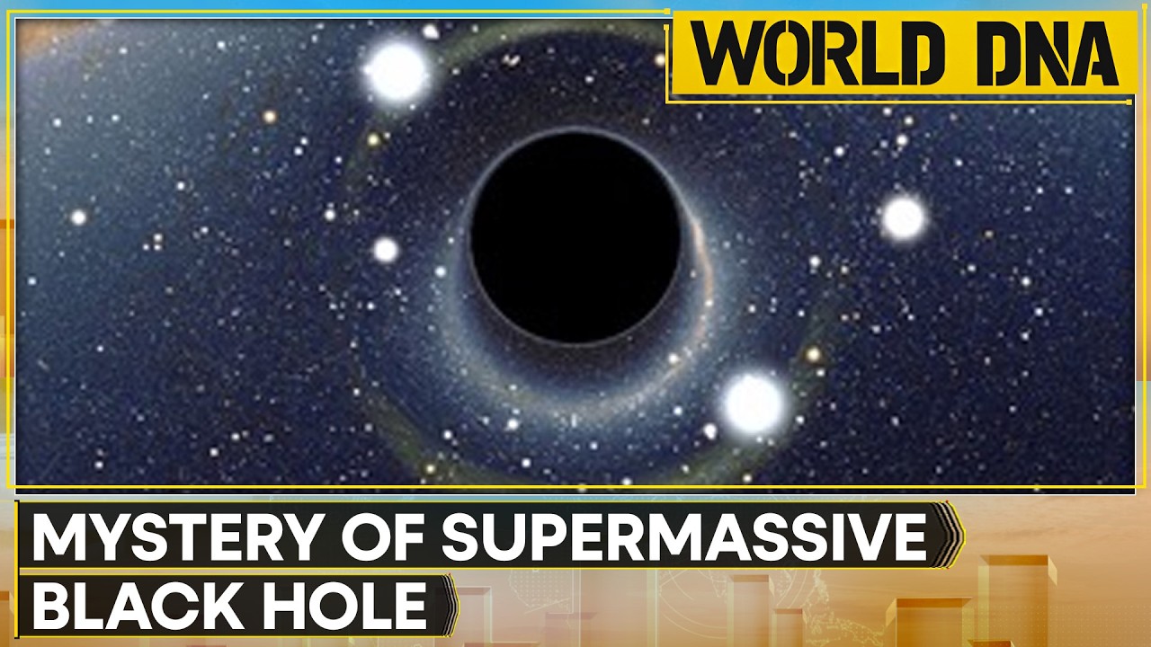 Black Holes May Be The Ultimate Cosmic Recyclers | WION World DNA