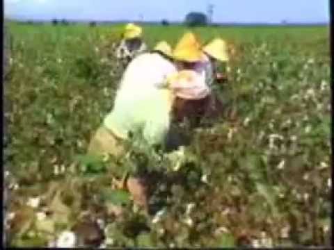 Cópia de Políticas de Saúde no Brasil - Filme COMPLETO