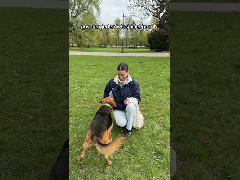 A na ekranie znów Lula 🥰🐶 #annamaria #funny #pies #komedia