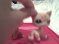 Oobi Cat Version 3